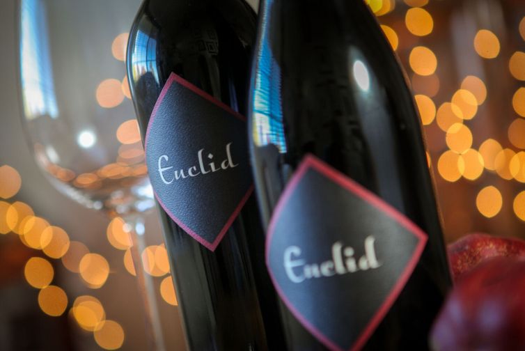 Euclid Holiday Photo