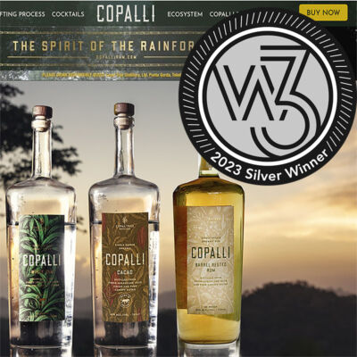 2023 W3 Awards